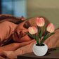 LED Tulp Nachtlampje Bloem Tafellamp🌷✨Koop er 2 en ontvang gratis verzending