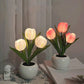 LED Tulp Nachtlampje Bloem Tafellamp🌷✨Koop er 2 en ontvang gratis verzending