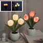 LED Tulp Nachtlampje Bloem Tafellamp🌷✨Koop er 2 en ontvang gratis verzending