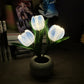 LED Tulp Nachtlampje Bloem Tafellamp🌷✨Koop er 2 en ontvang gratis verzending