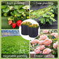 🌱🛍️ Geotextiel-kweekzak met microbelletjes (50% korting) 🔥💨